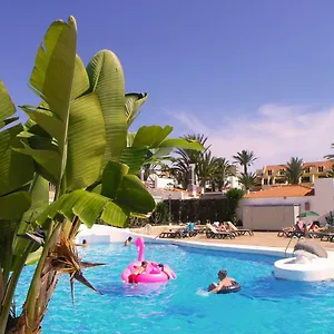https://apartment-in-paraiso-royal-playa-de-las-americas-tenerife.in-canary-islands.com